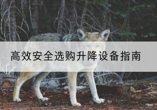 华亭升降货梯厂家推荐-*安全选购升降设备指南