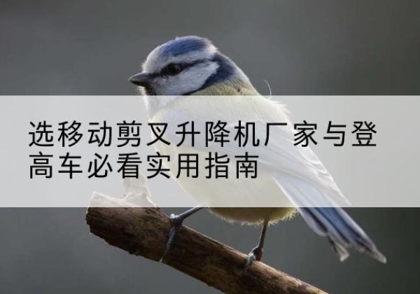 华亭电动升降机厂家-选移动剪叉升降机厂家与登高车必看实用指南